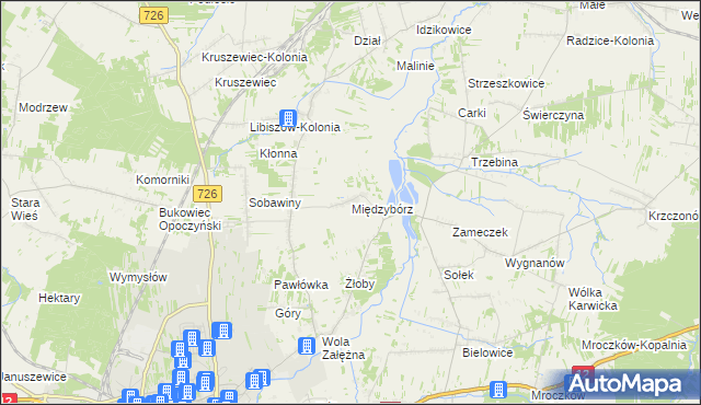 mapa Międzybórz gmina Opoczno, Międzybórz gmina Opoczno na mapie Targeo