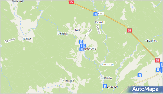 mapa Międzybórz gmina Rzeczenica, Międzybórz gmina Rzeczenica na mapie Targeo