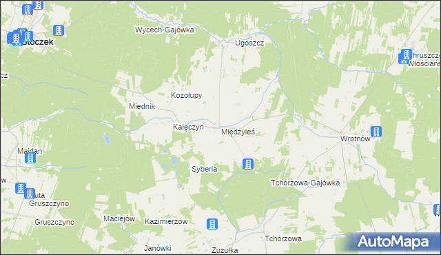 mapa Międzyleś gmina Miedzna, Międzyleś gmina Miedzna na mapie Targeo
