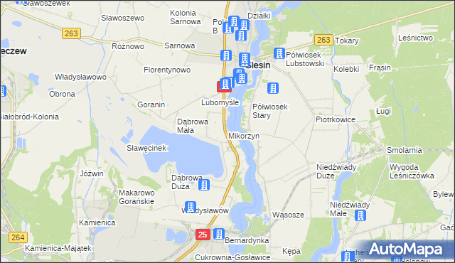 mapa Mikorzyn gmina Ślesin, Mikorzyn gmina Ślesin na mapie Targeo