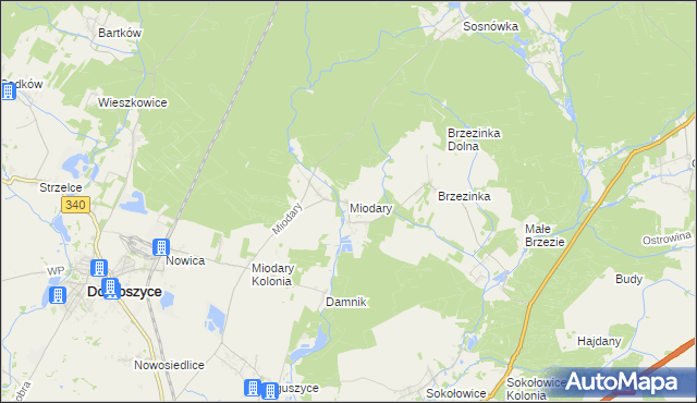 mapa Miodary gmina Dobroszyce, Miodary gmina Dobroszyce na mapie Targeo