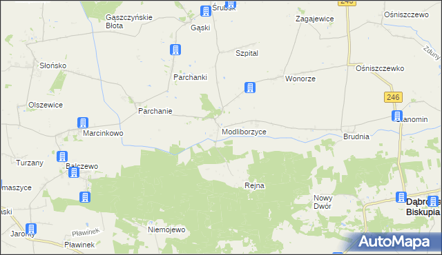 mapa Modliborzyce gmina Dąbrowa Biskupia, Modliborzyce gmina Dąbrowa Biskupia na mapie Targeo