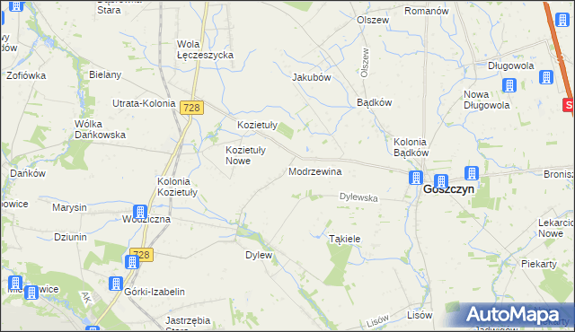 mapa Modrzewina gmina Goszczyn, Modrzewina gmina Goszczyn na mapie Targeo