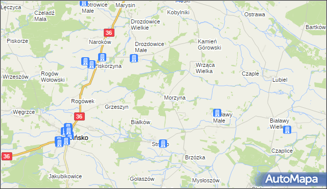 mapa Morzyna, Morzyna na mapie Targeo