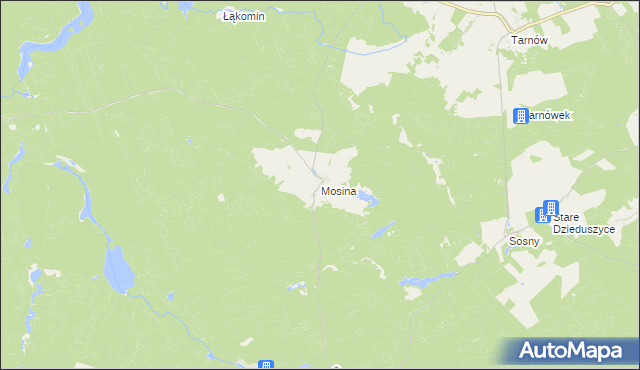 mapa Mosina gmina Witnica, Mosina gmina Witnica na mapie Targeo