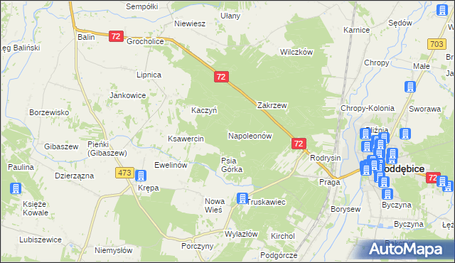 mapa Napoleonów gmina Poddębice, Napoleonów gmina Poddębice na mapie Targeo