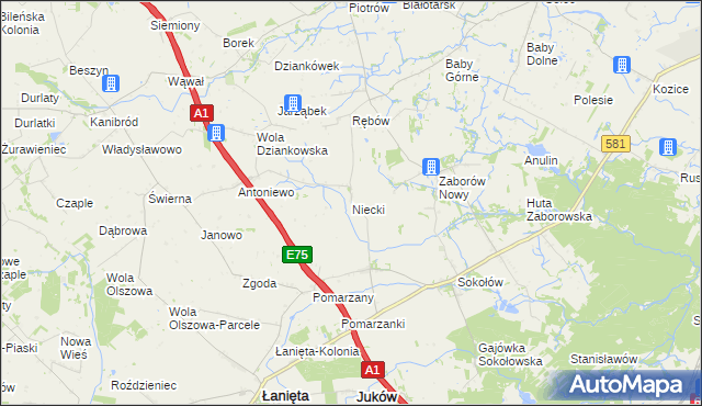 mapa Niecki gmina Gostynin, Niecki gmina Gostynin na mapie Targeo