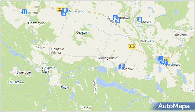 mapa Niepoględzie, Niepoględzie na mapie Targeo