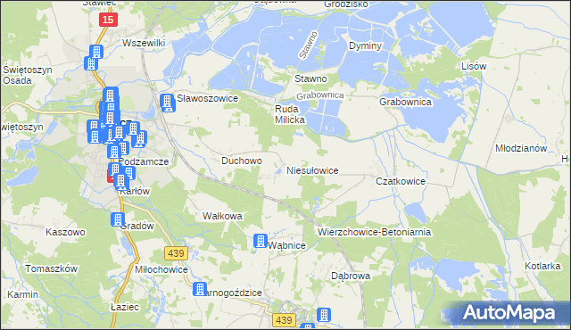 mapa Niesułowice gmina Milicz, Niesułowice gmina Milicz na mapie Targeo