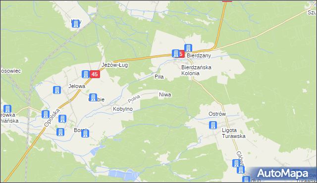 mapa Niwa gmina Łubniany, Niwa gmina Łubniany na mapie Targeo