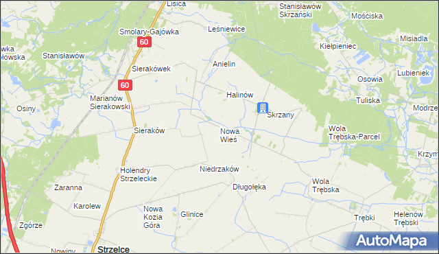 mapa Nowa Wieś gmina Gostynin, Nowa Wieś gmina Gostynin na mapie Targeo