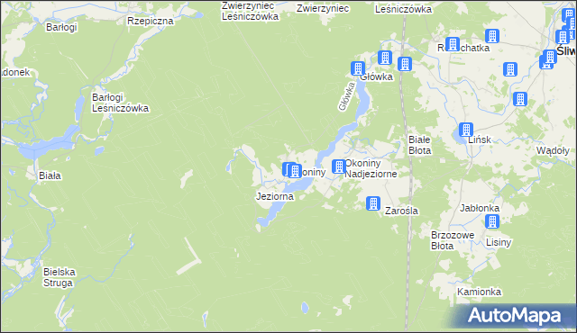 mapa Okoniny gmina Śliwice, Okoniny gmina Śliwice na mapie Targeo