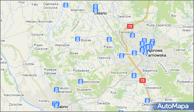 mapa Oleśnica gmina Olesno, Oleśnica gmina Olesno na mapie Targeo