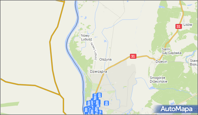 mapa Olszyna gmina Słubice, Olszyna gmina Słubice na mapie Targeo