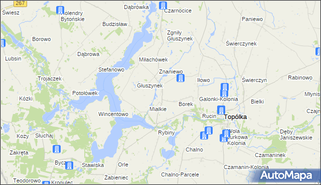 mapa Opielanka, Opielanka na mapie Targeo