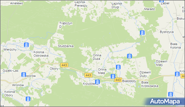 mapa Orlina Duża, Orlina Duża na mapie Targeo