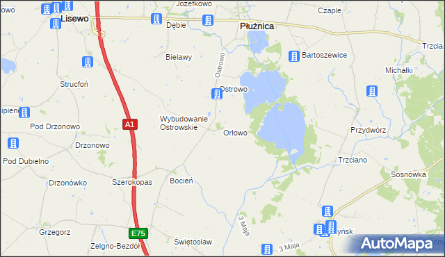 mapa Orłowo gmina Płużnica, Orłowo gmina Płużnica na mapie Targeo