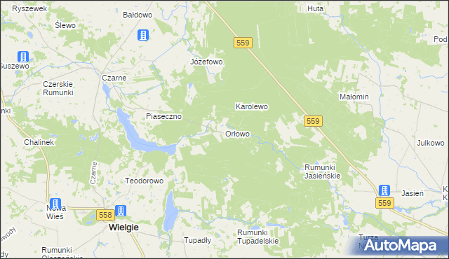 mapa Orłowo gmina Wielgie, Orłowo gmina Wielgie na mapie Targeo