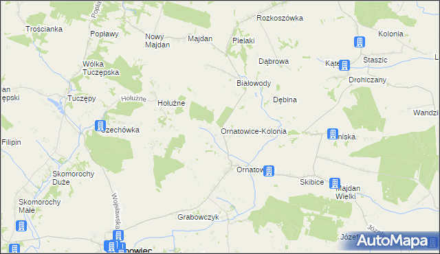 mapa Ornatowice-Kolonia, Ornatowice-Kolonia na mapie Targeo