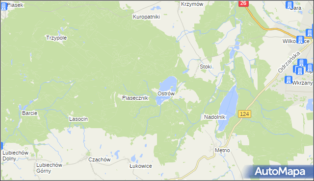 mapa Ostrów gmina Chojna, Ostrów gmina Chojna na mapie Targeo