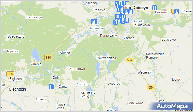 mapa Paliwodzizna, Paliwodzizna na mapie Targeo