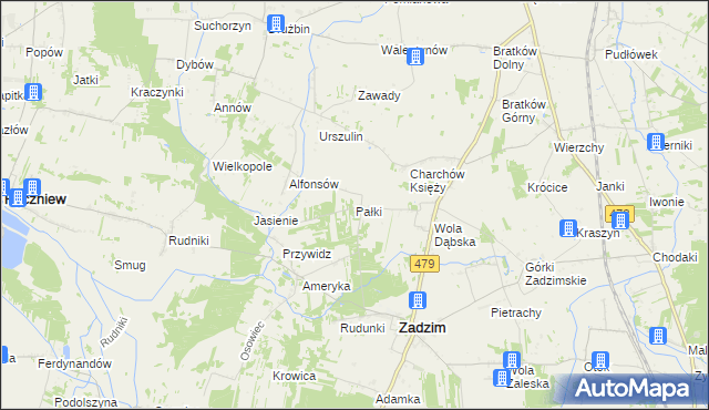 mapa Pałki gmina Zadzim, Pałki gmina Zadzim na mapie Targeo