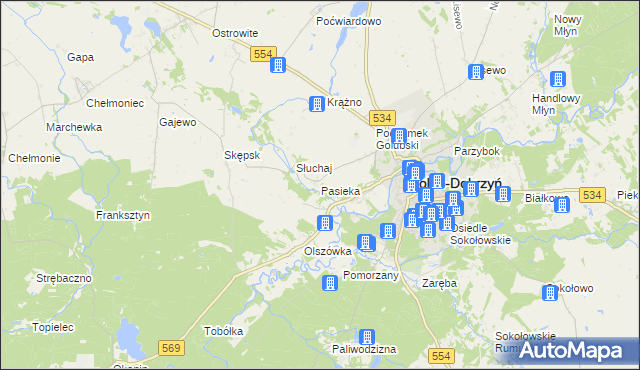 mapa Pasieka gmina Golub-Dobrzyń, Pasieka gmina Golub-Dobrzyń na mapie Targeo