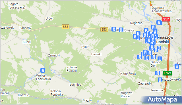 mapa Pasieki gmina Tomaszów Lubelski, Pasieki gmina Tomaszów Lubelski na mapie Targeo