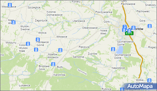 mapa Pełczyce gmina Bogoria, Pełczyce gmina Bogoria na mapie Targeo