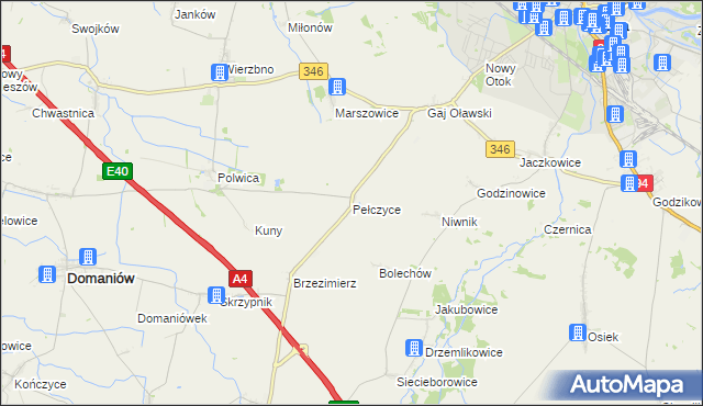 mapa Pełczyce gmina Domaniów, Pełczyce gmina Domaniów na mapie Targeo