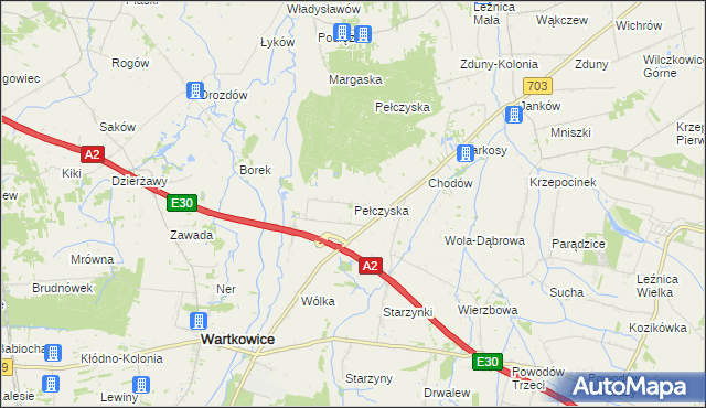 mapa Pełczyska gmina Wartkowice, Pełczyska gmina Wartkowice na mapie Targeo