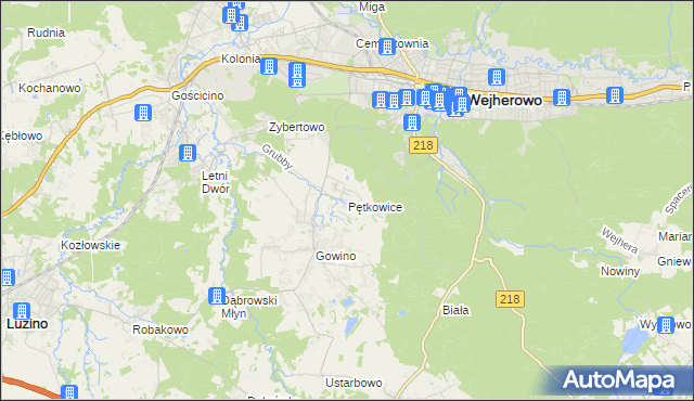 mapa Pętkowice gmina Wejherowo, Pętkowice gmina Wejherowo na mapie Targeo