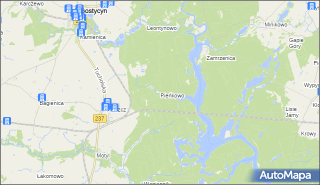 mapa Pieńkowo gmina Gostycyn, Pieńkowo gmina Gostycyn na mapie Targeo