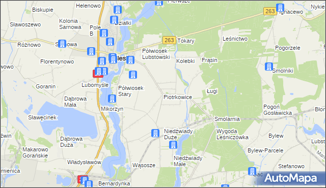 mapa Piotrkowice gmina Ślesin, Piotrkowice gmina Ślesin na mapie Targeo