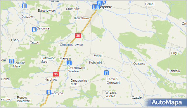 mapa Płoski, Płoski na mapie Targeo