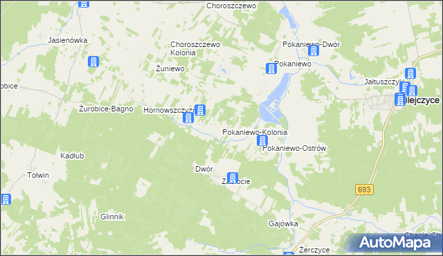 mapa Pokaniewo-Kolonia, Pokaniewo-Kolonia na mapie Targeo