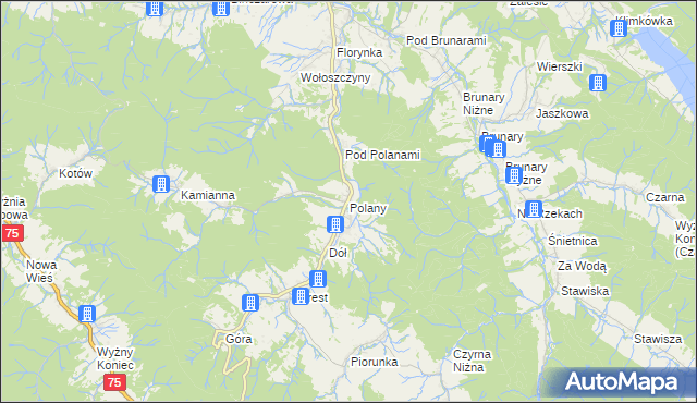 mapa Polany gmina Krynica-Zdrój, Polany gmina Krynica-Zdrój na mapie Targeo