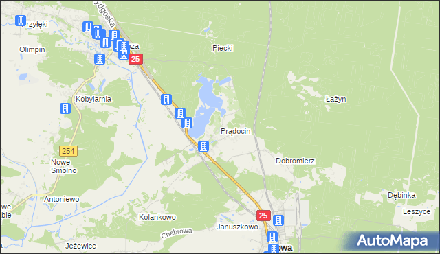 mapa Prądocin gmina Nowa Wieś Wielka, Prądocin gmina Nowa Wieś Wielka na mapie Targeo