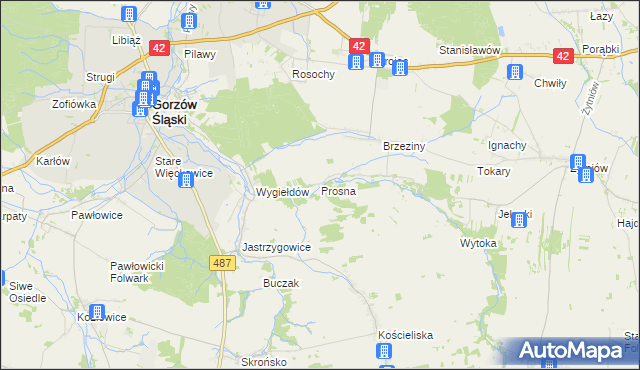 mapa Prosna gmina Praszka, Prosna gmina Praszka na mapie Targeo