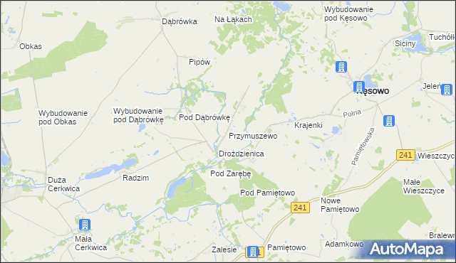 mapa Przymuszewo gmina Kęsowo, Przymuszewo gmina Kęsowo na mapie Targeo