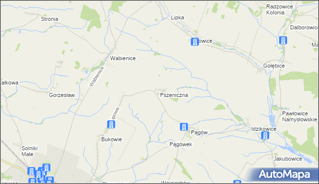 mapa Pszeniczna, Pszeniczna na mapie Targeo