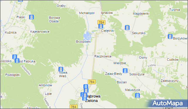 mapa Raczkowice, Raczkowice na mapie Targeo