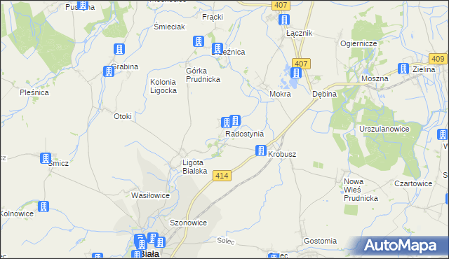 mapa Radostynia, Radostynia na mapie Targeo