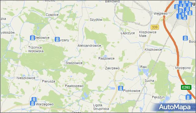 mapa Raszowice, Raszowice na mapie Targeo