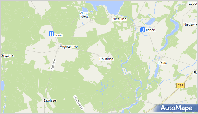 mapa Rokitnica gmina Skąpe, Rokitnica gmina Skąpe na mapie Targeo