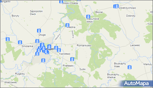 mapa Romankowo, Romankowo na mapie Targeo