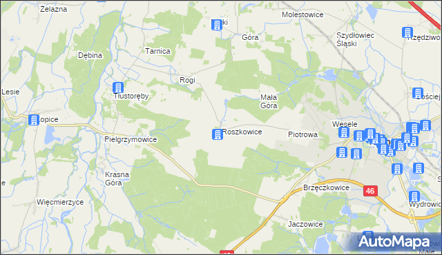 mapa Roszkowice gmina Niemodlin, Roszkowice gmina Niemodlin na mapie Targeo