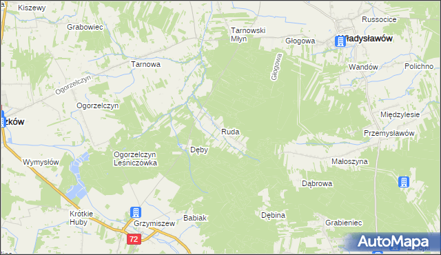 mapa Ruda gmina Tuliszków, Ruda gmina Tuliszków na mapie Targeo