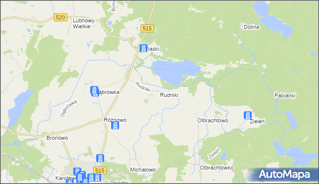 mapa Rudniki gmina Susz, Rudniki gmina Susz na mapie Targeo