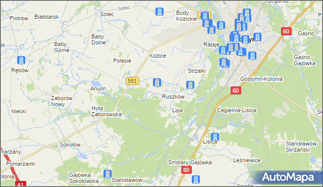 mapa Ruszków gmina Gostynin, Ruszków gmina Gostynin na mapie Targeo